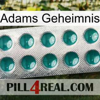Adams Secret dapoxetine1
